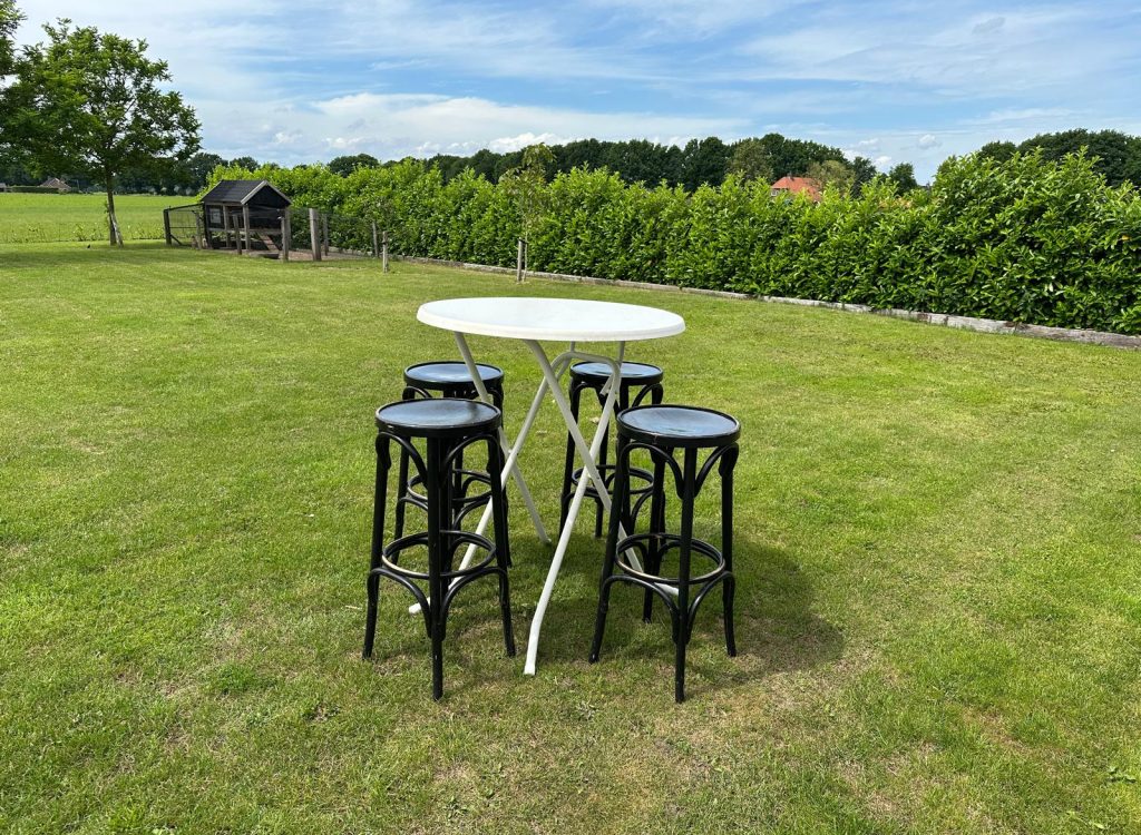 Statafels + barkrukken